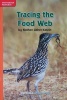 Tracing the Food Web