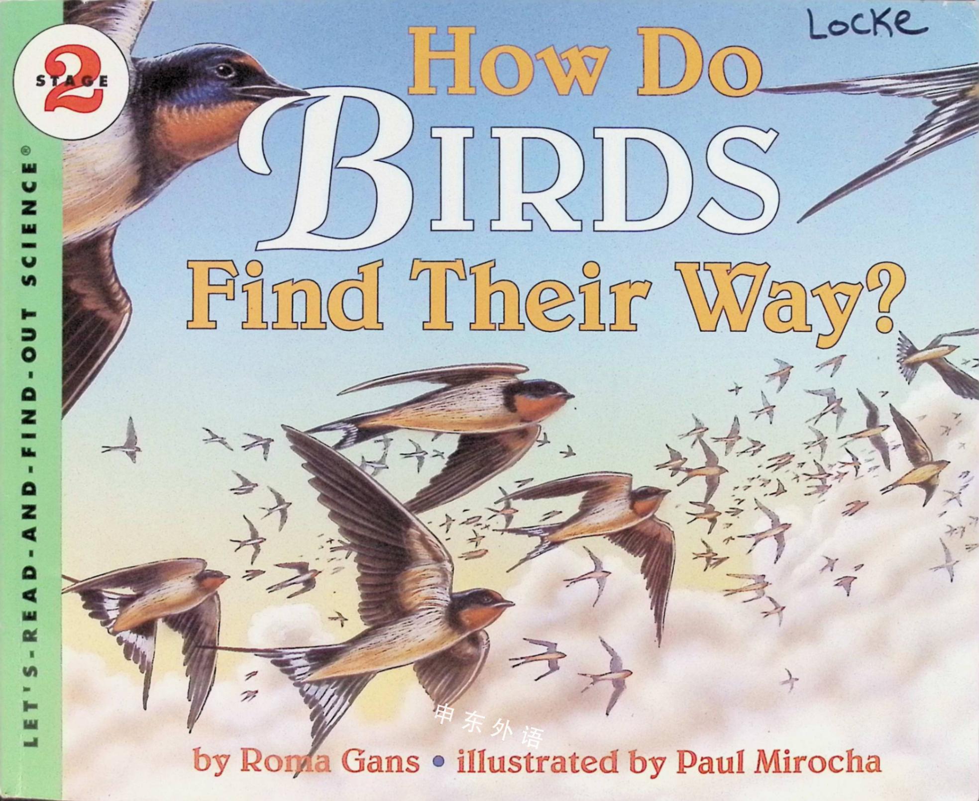 how-do-birds-find-their-way-home-curious-questions-with-answers