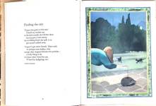 An anthology of hedgehog poems