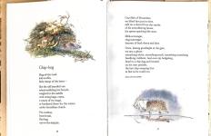 An anthology of hedgehog poems