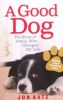 Good Dog: The Story of Orson, Who Changed My Life