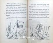 Space Dog and the Pet Show (Red Fox Read Alone)