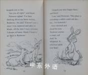 Watership Down: The Hidden World