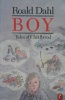 Boy Tales of childhood