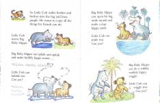 Little Copy Cub