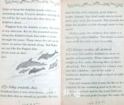 Dazzling Dolphins (My Secret World)