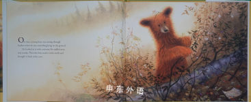 A Story for Bear