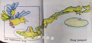LOOK OUT BIRD
