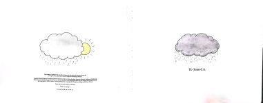 Mushroom in the Rain