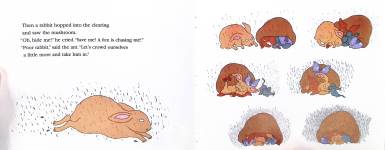 Mushroom in the Rain