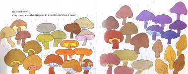 Mushroom in the Rain