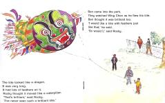 The dragon kite