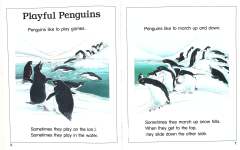 Playful Penguins and Other Stories