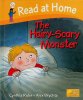 Read at Home: Level 5A: Hairy Scary Monster