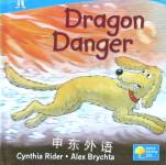Dragon Danger Cynthia Rider