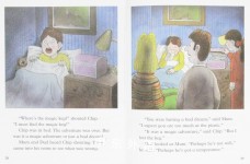 Oxford Reading Tree: Stage 9: Storybooks (Magic Key): The Litter Queen