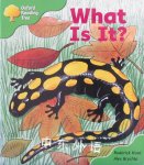 Oxford Reading Tree: Stage 2: More Patterned Stories A: What Is It? Roderick Hunt