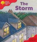 Storybooks the Storm Roderick Hunt