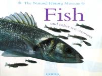 Animal Close-ups:Fish and other sea creatures Barbara Taylor