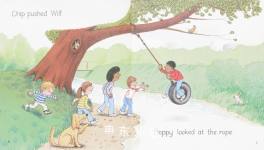 Oxford Reading Tree:The  Rope Swing