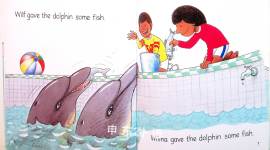 The Dolphin Pool