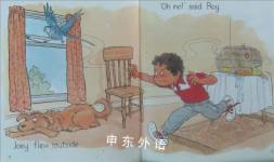 Oxford Reading Tree: Roy and the Budgie: Stage 3: Sparrows Storybooks: Roy and the Budgie