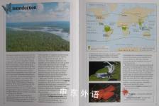 Rain Forests Ecology Watch