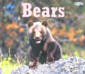 Bears Catherines Lukas