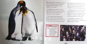 All about animals: Penguins