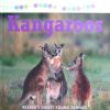 All About Animals: Kangaroos