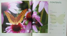 Readers Digest Butterflies