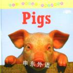 Pigs Christina Wilsdon