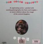 Readers digest:All about animals-Gorillas