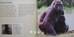 Readers digest:All about animals-Gorillas
