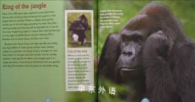 Readers digest:All about animals-Gorillas