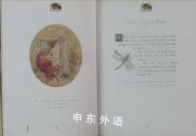 Little Book of Frogs