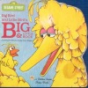 Big Bird and Little Birds Book of Big and Little Book