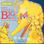 Big Bird and Little Birds Book of Big and Little Book A. Delaney