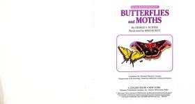 BUTTERFLIES and MOTHS