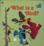 What Is a Bird? Jenifer W. Day