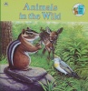 Animals in the Wild Look-Look