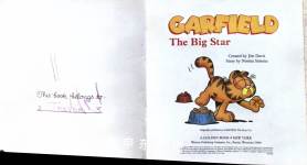 Garfield The Big Star