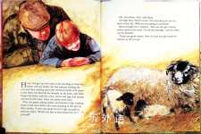 Smudge, the Little Lost Lamb