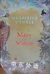 Many Waters (Time Quintet4) Madeleine LEngle
