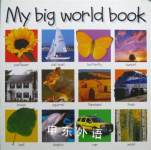 My Big World Book Roger Priddy