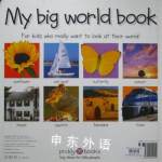 My Big World Book