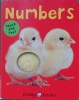 Numbers