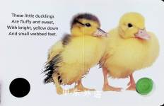 My Little Noisy Book of Ducklings