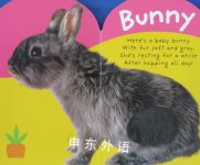 Easter Bunny (Baby Touch and Feel)