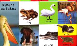 First 100 Animals